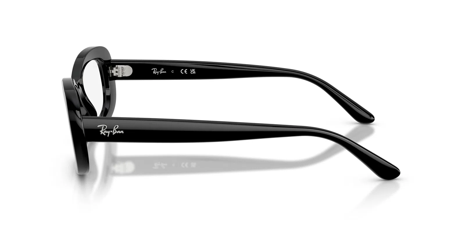 Ray-Ban 2221VF Eyeglasses - view 16